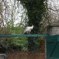 P1030520.JPG P1030520.JPG