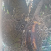 P1030521.JPG P1030521.JPG