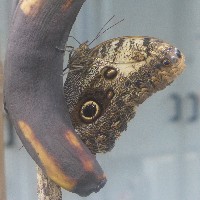 P1030522.JPG P1030522.JPG