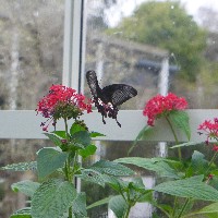 P1030527.JPG P1030527.JPG