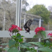 P1030528.JPG P1030528.JPG