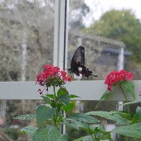 P1030529.JPG P1030529.JPG