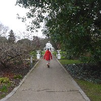 P1030532.JPG P1030532.JPG