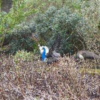 P1030533.JPG P1030533.JPG