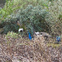 P1030534.JPG P1030534.JPG