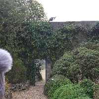 P1030538.JPG P1030538.JPG