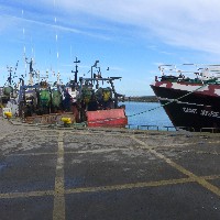 P1030567.JPG P1030567.JPG