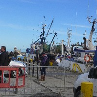 P1030570.JPG P1030570.JPG