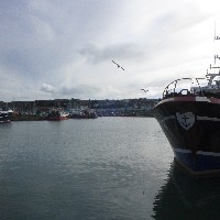 P1030572.JPG P1030572.JPG