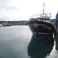 P1030574.JPG P1030574.JPG