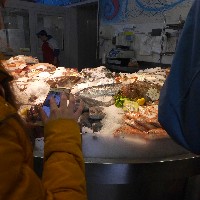 P1030576.JPG P1030576.JPG