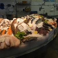 P1030580.JPG P1030580.JPG