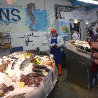 P1030581.JPG P1030581.JPG