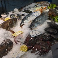 P1030583.JPG P1030583.JPG