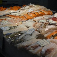 P1030584.JPG P1030584.JPG