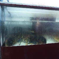 P1030585.JPG P1030585.JPG