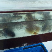 P1030586.JPG P1030586.JPG