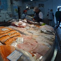 P1030589.JPG P1030589.JPG