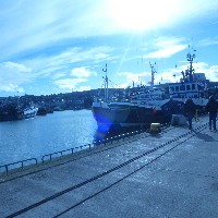 P1030590.JPG P1030590.JPG