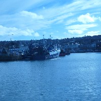 P1030593.JPG P1030593.JPG