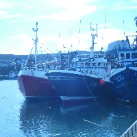 P1030594.JPG P1030594.JPG