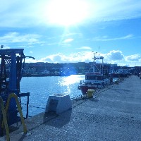 P1030595.JPG P1030595.JPG