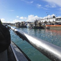 P1030604.JPG P1030604.JPG