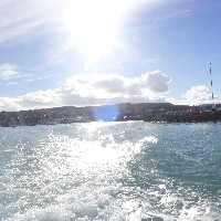 P1030619.JPG P1030619.JPG