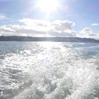 P1030637.JPG P1030637.JPG