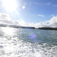 P1030646.JPG P1030646.JPG