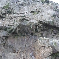 P1030657.JPG P1030657.JPG