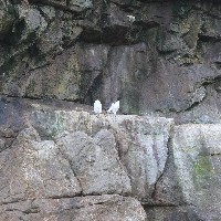 P1030658.JPG P1030658.JPG