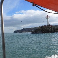 P1030705.JPG P1030705.JPG