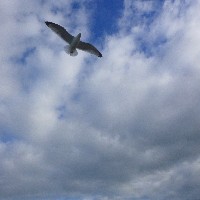 P1030736.JPG P1030736.JPG