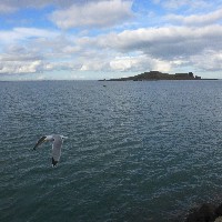 P1030739.JPG P1030739.JPG