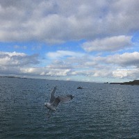 P1030742.JPG P1030742.JPG