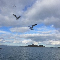 P1030743.JPG P1030743.JPG