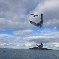 P1030744.JPG P1030744.JPG