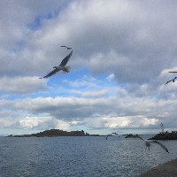 P1030745.JPG P1030745.JPG