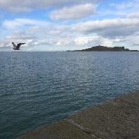 P1030747.JPG P1030747.JPG