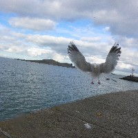 P1030750.JPG P1030750.JPG