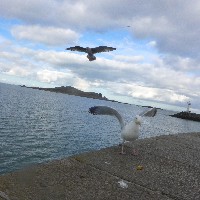 P1030751.JPG P1030751.JPG