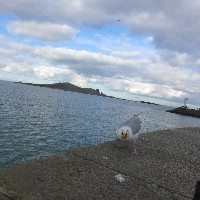 P1030752.JPG P1030752.JPG