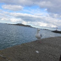 P1030753.JPG P1030753.JPG