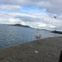 P1030754.JPG P1030754.JPG