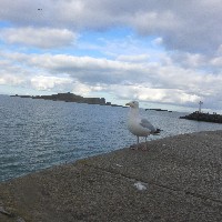 P1030757.JPG P1030757.JPG