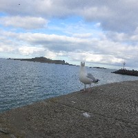 P1030758.JPG P1030758.JPG