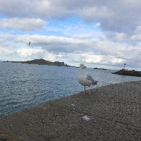 P1030760.JPG P1030760.JPG