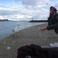 P1030761.JPG P1030761.JPG