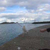 P1030763.JPG P1030763.JPG